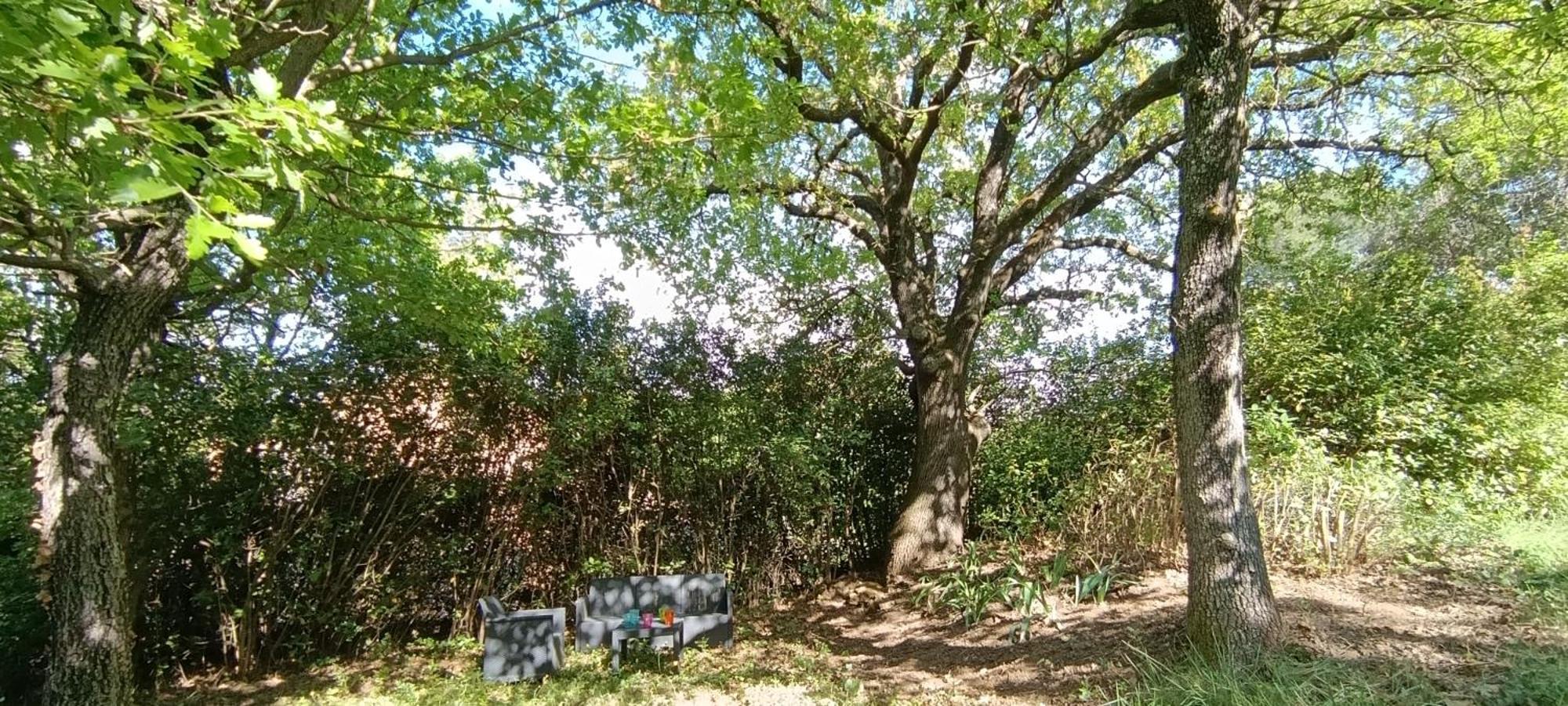 Les Lilas des Chênes Piolenc Exterior foto